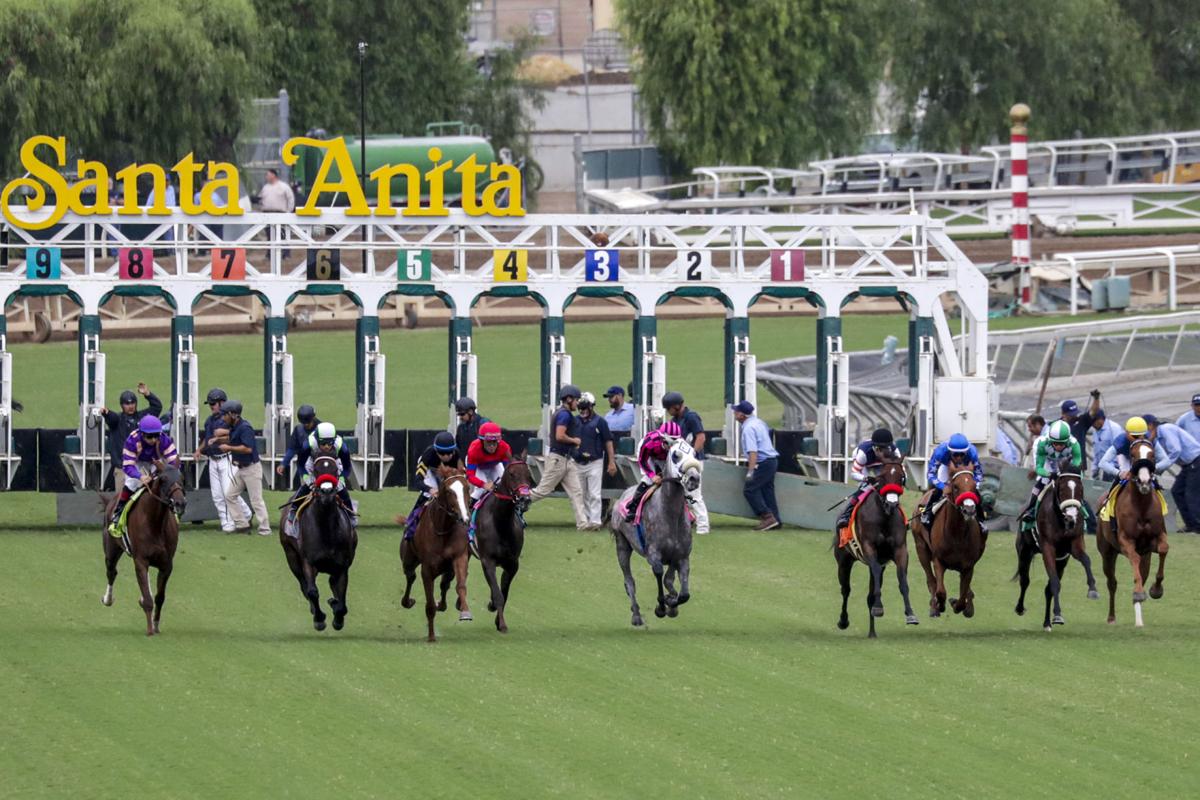 2025 Breeders' Cup Juvenile Fillies Turf Free Pick & Handicapping Odds & Prediction