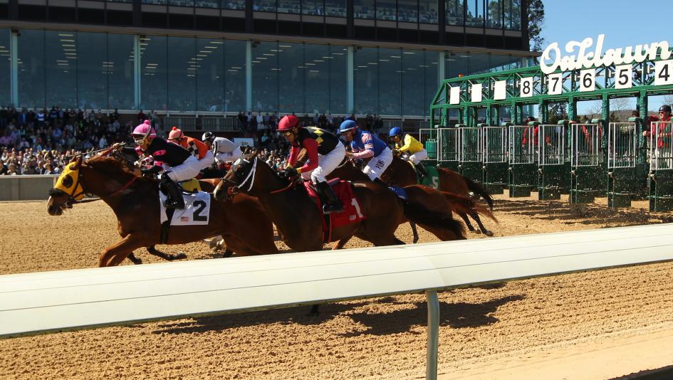 2023 Rebel Stakes Free Pick & Handicapping Odds & Prediction