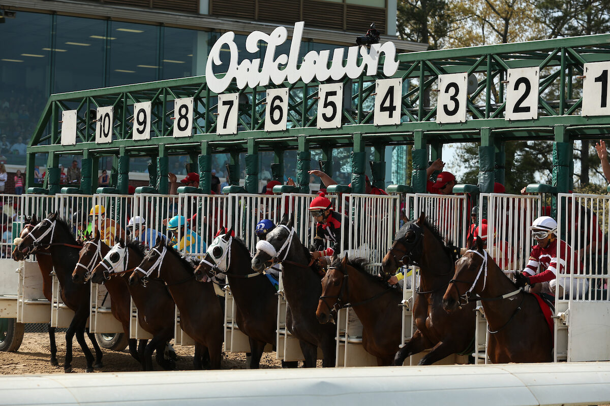 2023 Southwest Stakes Free Pick & Handicapping Odds & Prediction