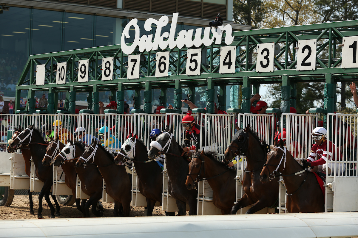 2024 Southwest Stakes Free Pick & Handicapping Odds & Prediction