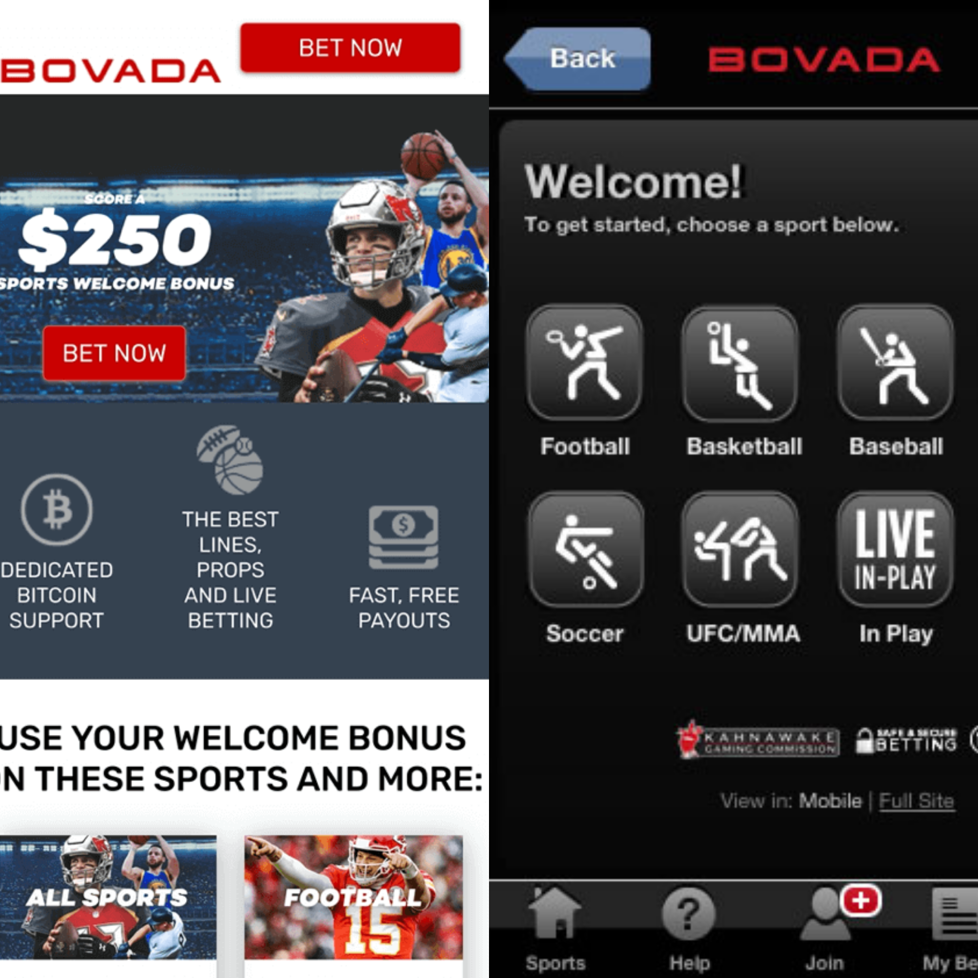 Best Online Sportsbooks - Bovada