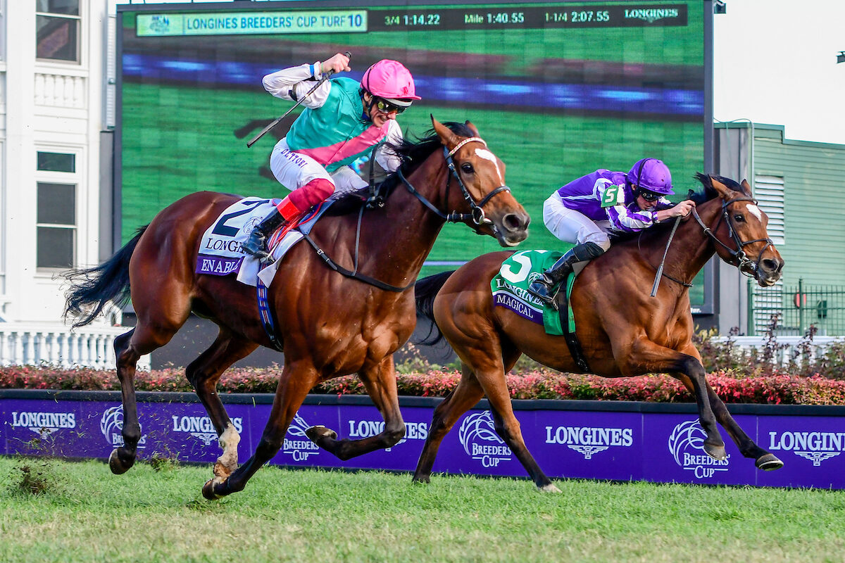 2023 Bowling Green Stakes Free Pick & Handicapping Odds & Prediction