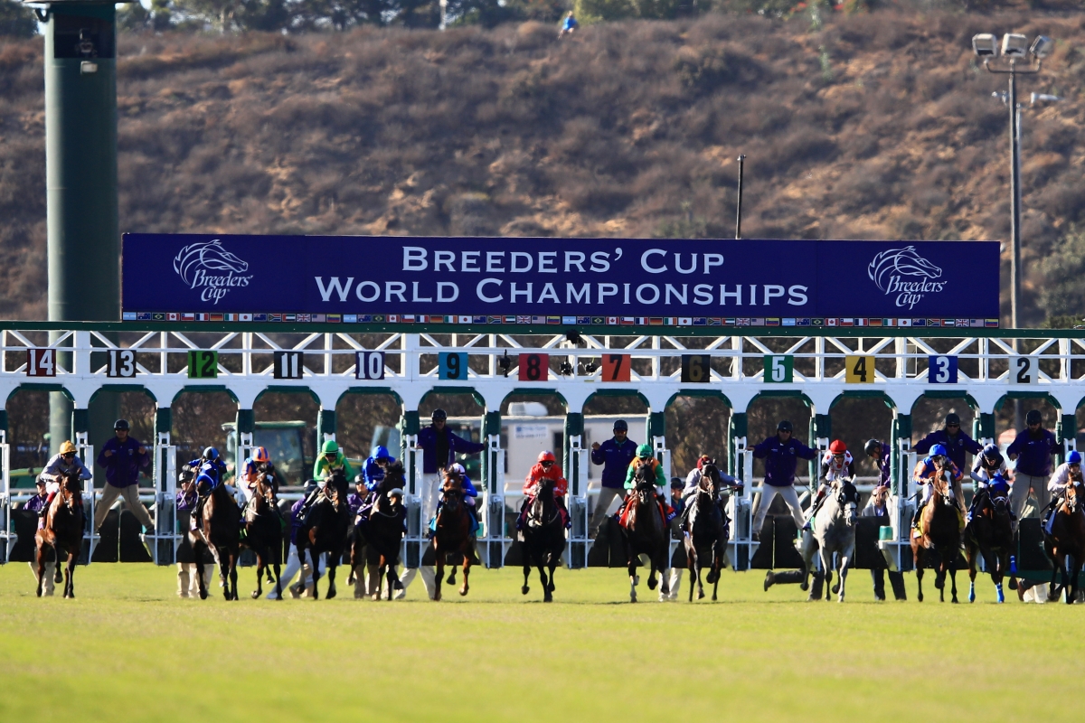 2023 Breeders' Cup Juvenile Turf Free Pick & Handicapping Odds & Prediction