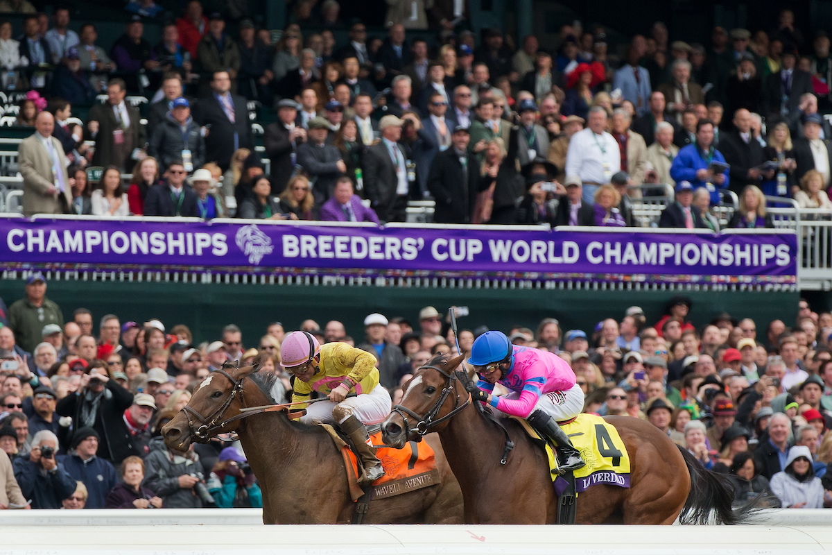 2023 Breeders' Cup Juvenile Turf Sprint Free Pick & Handicapping Odds & Prediction