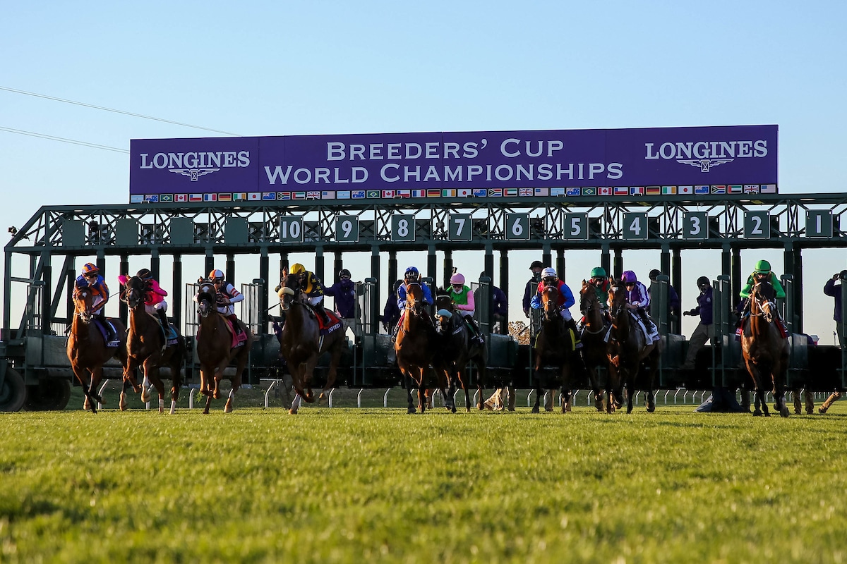 2023 Breeders' Cup Turf Free Pick & Handicapping Odds & Prediction