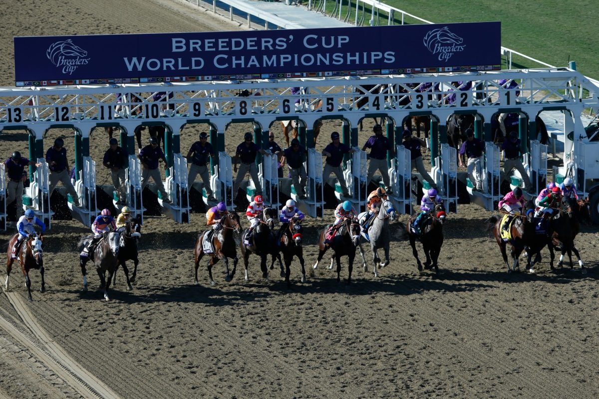 2023 Breeders' Cup Dirt Mile Free Pick & Handicapping Odds & Prediction