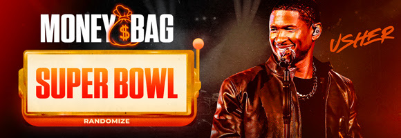 Super Bowl LVIII Moneybag