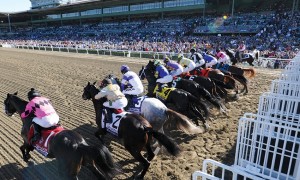 2015 Breeders' Cup - 10-29-2015 Free Pick & Horse Race Handicapping Lines Preview
