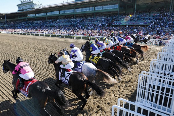 2015 Breeders' Cup - 10-29-2015 Free Pick & Horse Race Handicapping Lines Preview