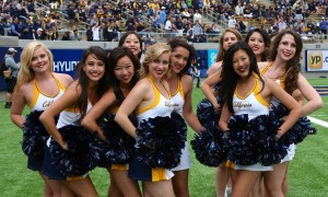 Stanford Cardinal vs. Cal Golden Bears - 11/19/2016 Free Pick & CFB Betting Prediction