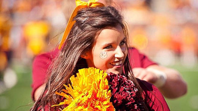 Illinois vs. Minnesota - 11-21-2015 Free Pick & CFB Handicapping Preview