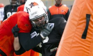 Updated 2016 Grey Cup Odds & CFL Futures Predictions
