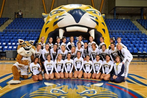 Fairfield Stags vs. Quinnipiac Bobcats - 2/17/2017 Free Pick & CBB Betting Prediction