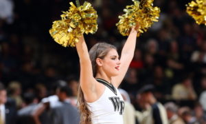 North Carolina Tar Heels vs. Wake Forest Demon Deacons - 2/16/2019 Free Pick CBB Betting Prediction
