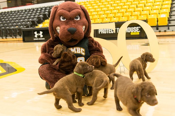 Liberty Flames vs. UMBC Retrievers - 3/26/17 Free Pick & CIT Betting Prediction