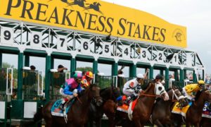 2017 Preakness Stakes Betting Odds Preview & Race Picks