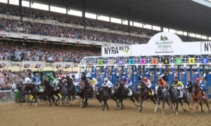 2017 Belmont Stakes Betting Odds Preview & Race Picks