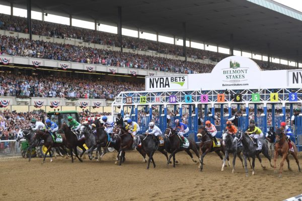 2017 Belmont Stakes Betting Odds Preview & Race Picks