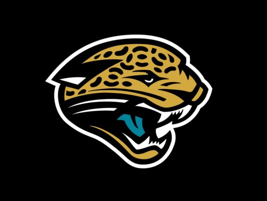 2019 Jacksonville Jaguars Predictions & NFL Football Gambling Odds