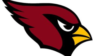 2019 Arizona Cardinals Predictions & NFL Football Gambling Odds