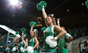 Rice Owls vs. North Texas Mean Green - 10/27/2018 Free Pick & CFB Betting Prediction