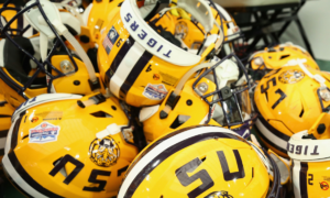 South Carolina Gamecocks vs. LSU Tigers Free Pick & CFB Betting Prediction, 10/11/25