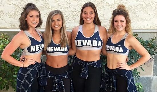 Air Force Falcons vs. Nevada Wolf Pack - 11/19/2021 Free Pick & CFB Betting Prediction