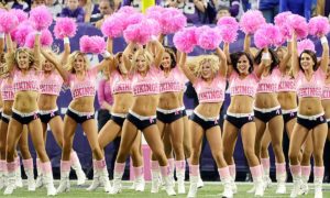 Green Bay Packers vs. Minnesota Vikings 12/31/2023 Free Pick & NFL Betting Prediction