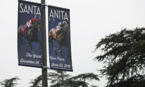 2025 Breeders' Cup Juvenile Turf Free Pick & Handicapping Odds & Prediction