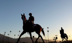 2026 Whitney Stakes Free Pick & Handicapping Odds & Prediction