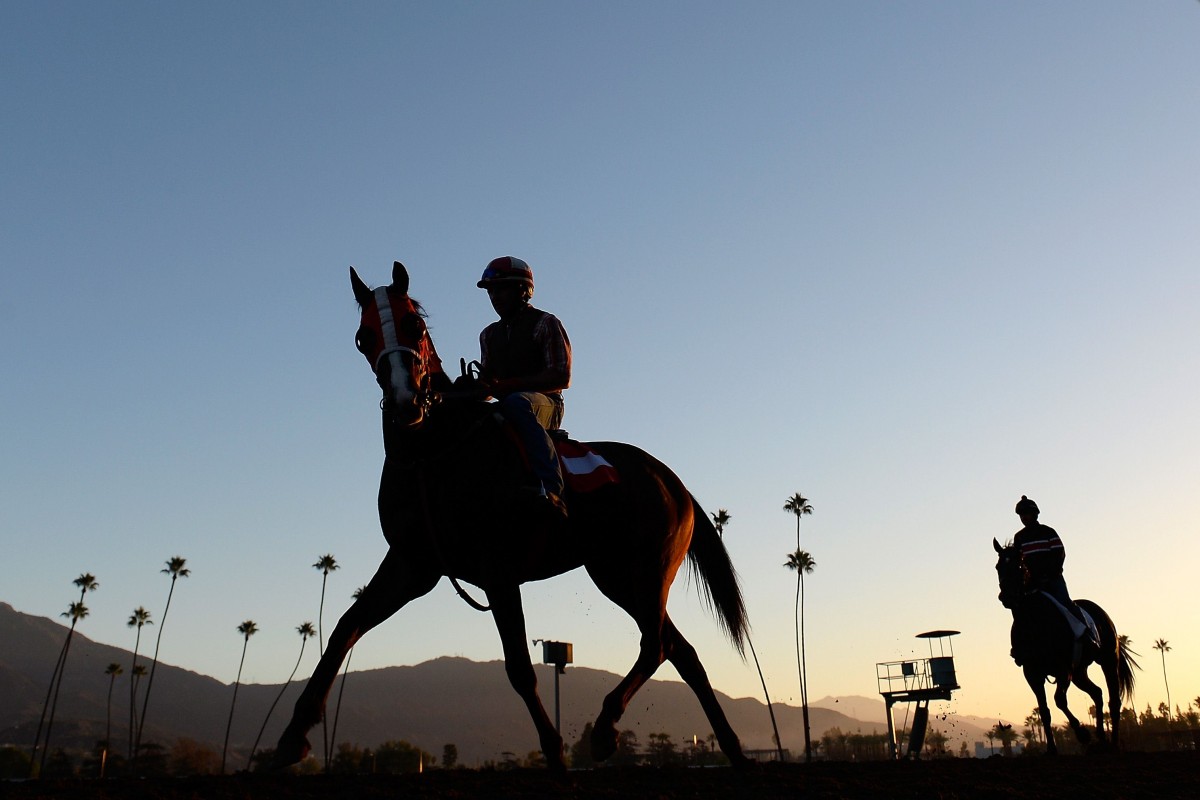 2019 Breeders' Cup Juvenile Free Pick & Handicapping Odds & Prediction