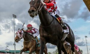 2025 Breeders' Cup Turf Free Pick & Handicapping Odds & Prediction