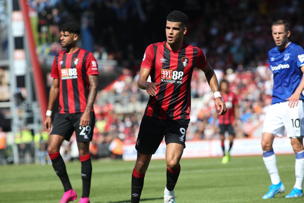 Wolverhampton vs. Bournemouth – 11/23/2019 Free Pick & EPL Betting Prediction
