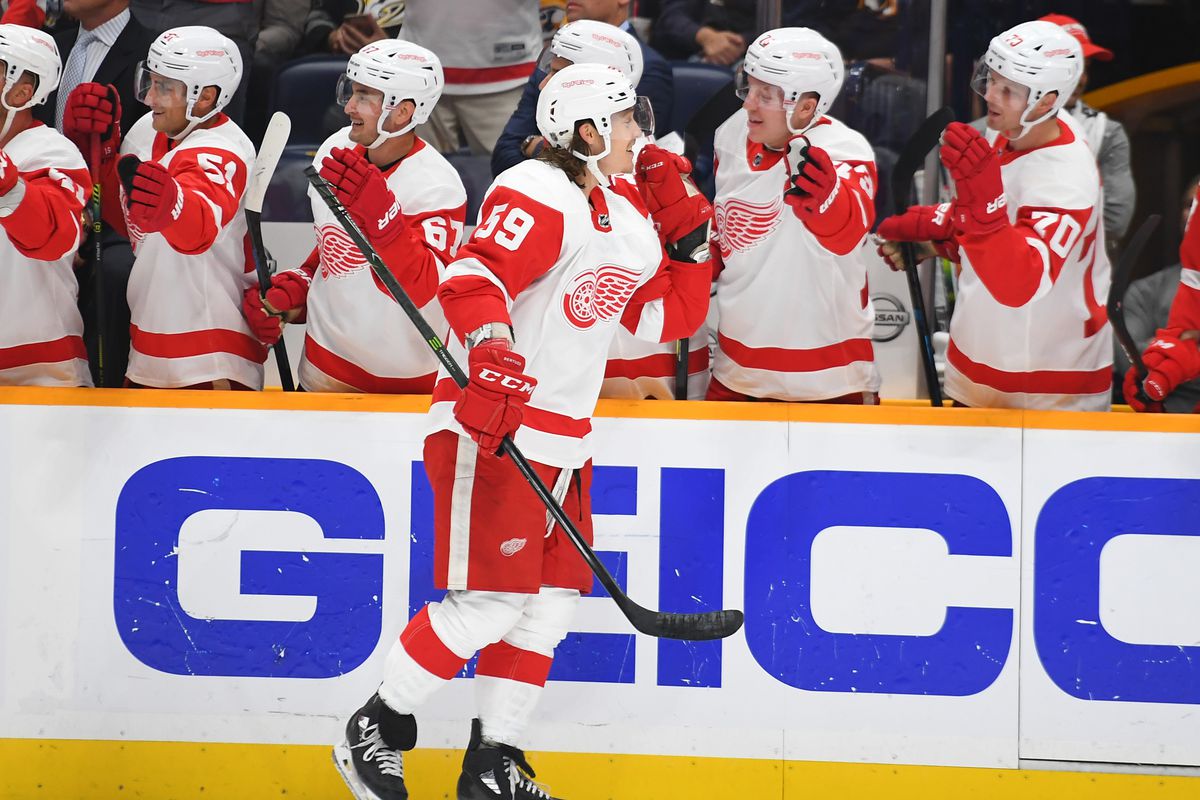 Anaheim Ducks vs. Detroit Red Wings - 10/8/2019 Free Pick & NHL Betting Prediction