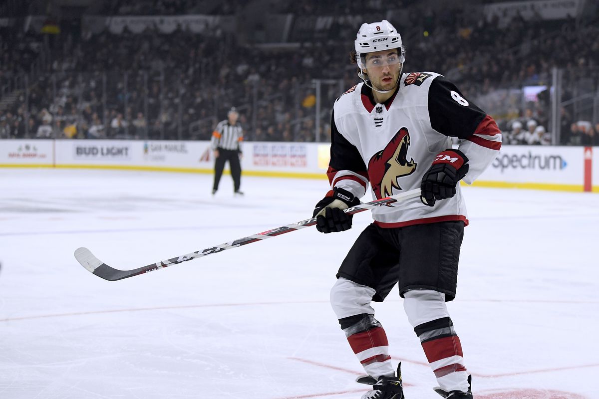 Arizona Coyotes vs. Calgary Flames - 11/5/2019 Free Pick & NHL Betting Prediction