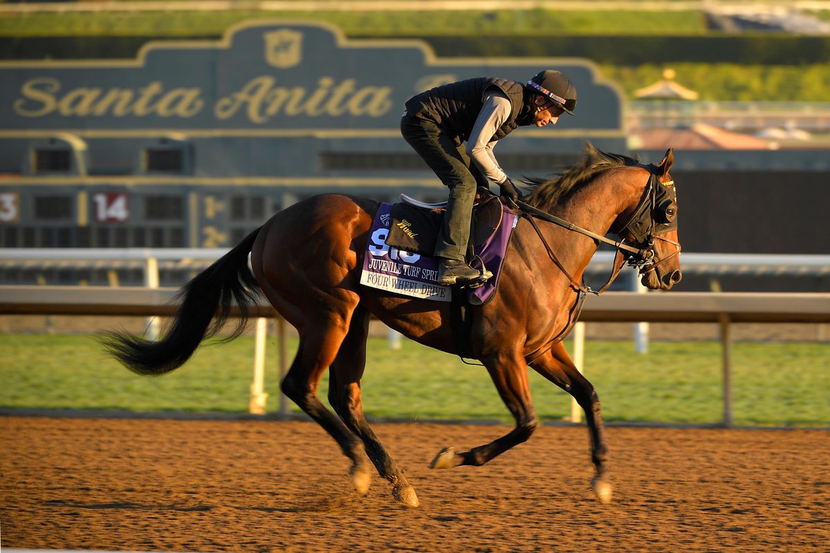 2019 Breeders' Cup Filly and Mare Sprint Free Pick & Handicapping Odds & Prediction