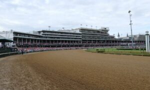 2019 Clark Stakes Free Pick & Handicapping Odds & Prediction