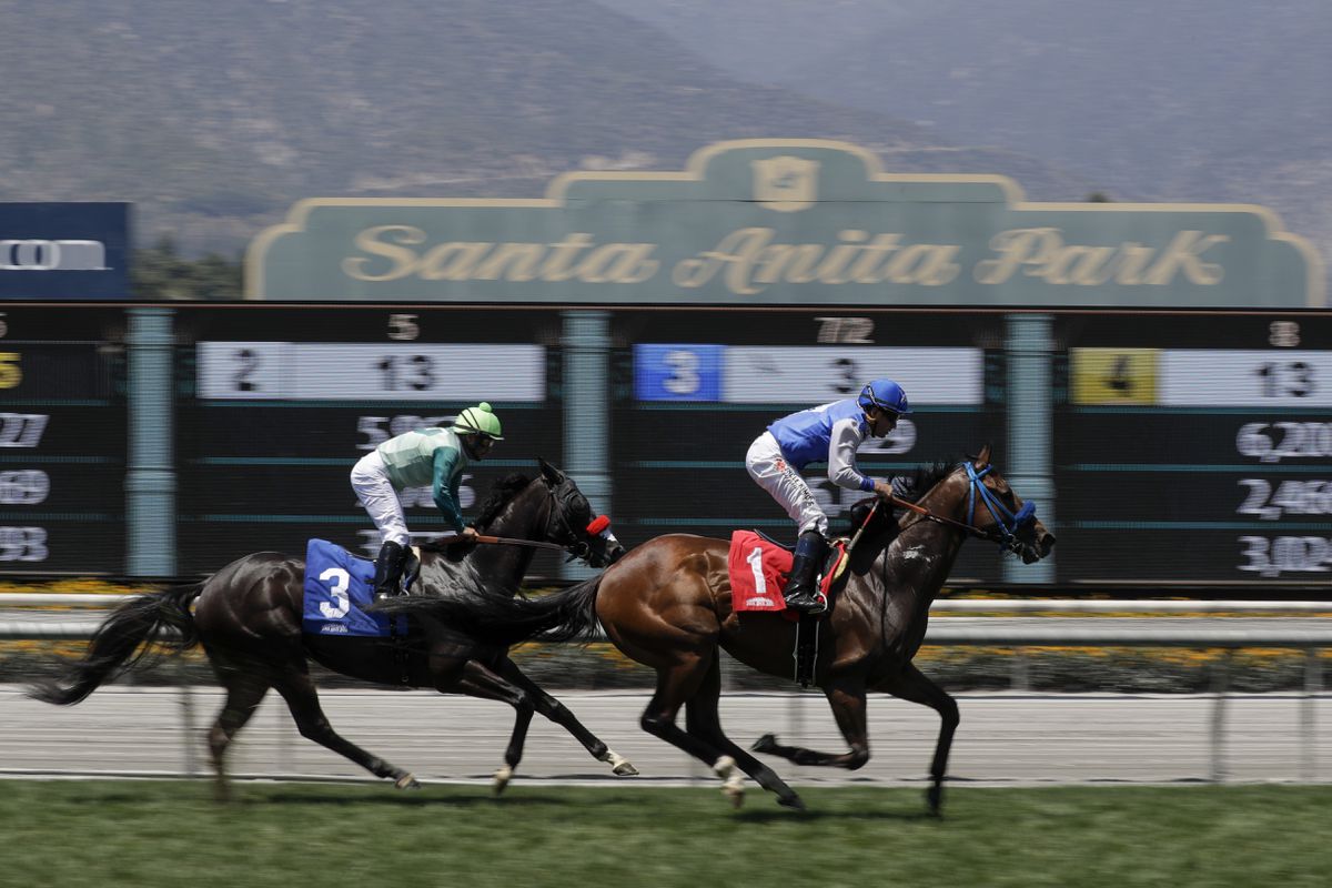 2019 Breeders' Cup Dirt Mile Free Pick & Handicapping Odds & Prediction