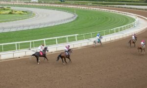 2026 Belmont Stakes Free Pick & Handicapping Odds & Prediction