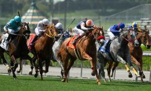 2025 Turf Mile Stakes Free Pick & Handicapping Odds & Prediction