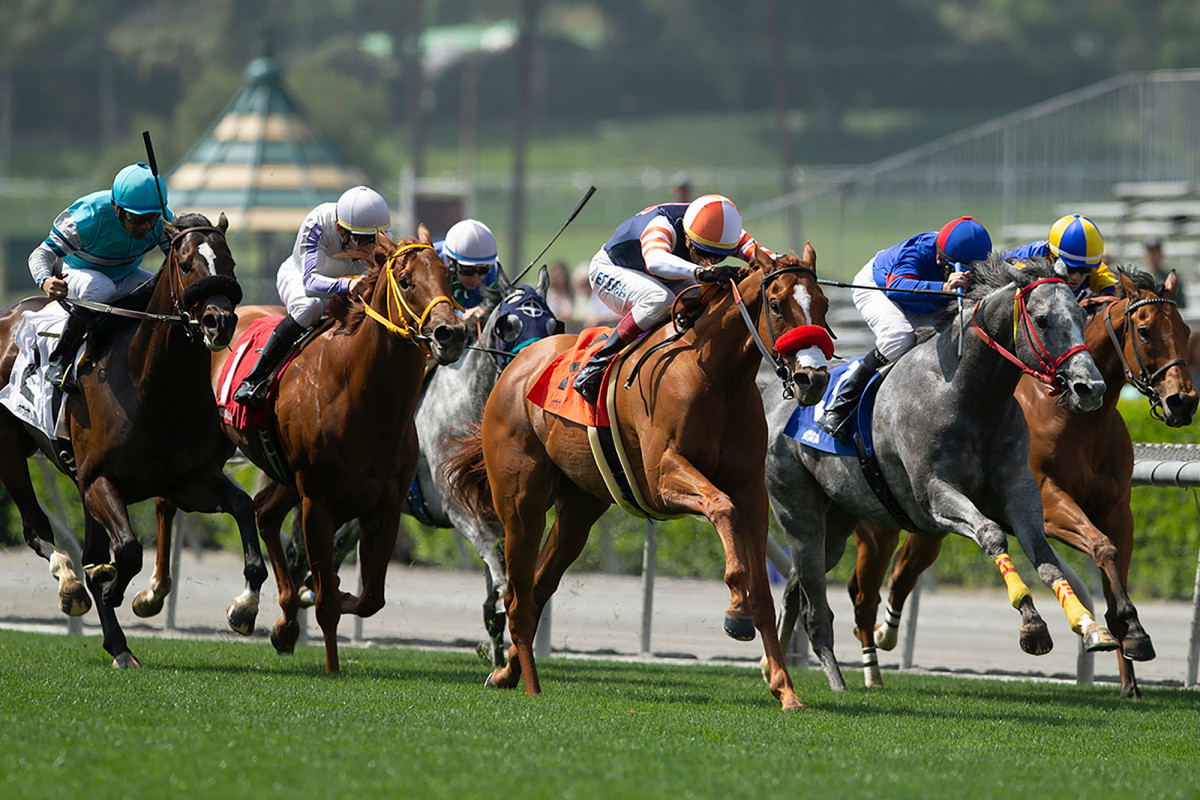 2019 Breeders' Cup Turf Sprint Free Pick & Handicapping Odds & Prediction