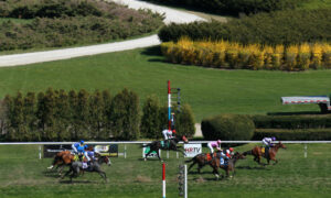 2019 Cigar Mile Handicap Free Pick & Handicapping Odds & Prediction