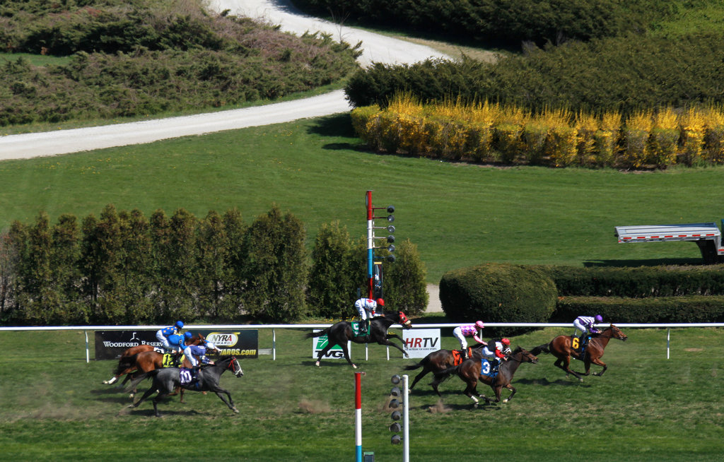2019 Cigar Mile Handicap Free Pick & Handicapping Odds & Prediction