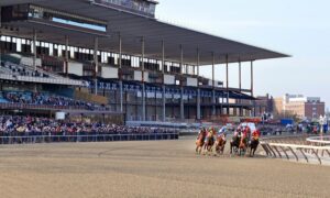 2019 Remsen Stakes Free Pick & Handicapping Odds & Prediction