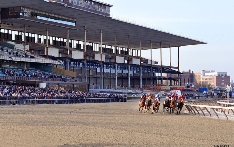 2019 Remsen Stakes Free Pick & Handicapping Odds & Prediction