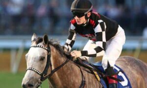 2019 Springboard Mile Stakes Free Pick & Handicapping Odds & Prediction