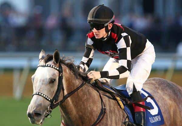 2019 Springboard Mile Stakes Free Pick & Handicapping Odds & Prediction