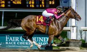2020 Lecomte Stakes Free Pick & Handicapping Odds & Prediction