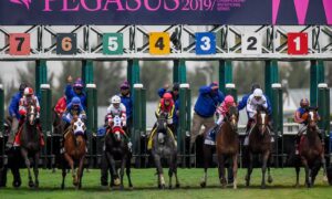 2022 Tropical Turf Stakes Free Pick & Handicapping Odds & Prediction