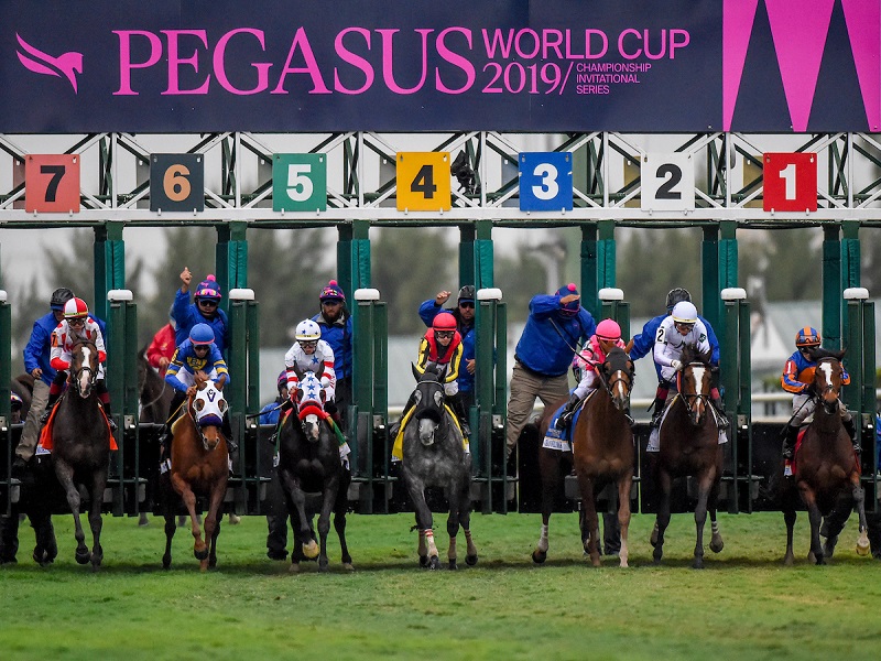 2020 Pegasus World Cup Turf Stakes Free Pick & Handicapping Odds & Prediction